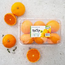 농협 천혜향, 1.2kg (4~8입), 1팩