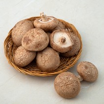 국산1kg표고버섯 구매률이 높은 추천 BEST 리스트