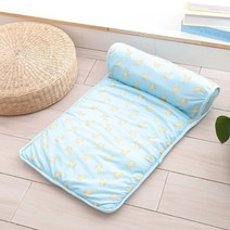 파스텔펫 프루츠 패턴 폭신 반려견 쿨매트, 블루