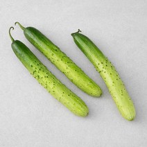 GAP 오이, 300g, 1봉