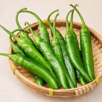 국내산 친환경 청양고추, 100g, 1개
