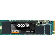 키오시아 EXCERIA M.2 NVMeTM SSD + NVMe 방열판, 250GB, RC50250G00