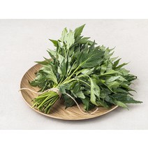곰곰 국내산 당귀잎, 500g, 1개