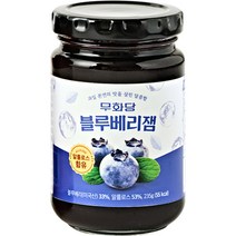 [꾸덕한사과잼] [딜라잇가든]프룻스타 사과잼1kg, 단품