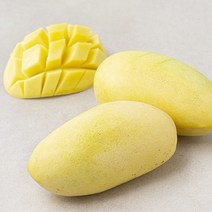 gomgom 곰곰 필리핀 망고, 500g, 1개