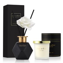 코코도르 소이캔들 스몰자 130g + 블랙골드에디션 디퓨저 200ml 세트, 캔들(퓨어코튼), 디퓨저(리틀포레스트)
