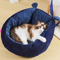 파스텔펫 냥이 꿀잠 마약 쿠션방석, 네이비