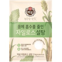 백설 하얀 자일로스설탕, 2kg, 1개