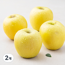 셀렉트팜 A 골드사과 대과, 1.5kg(4~5입), 2개