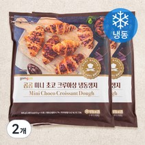 곰곰 미니 초코 크루아상 냉동생지, 2개, 645g