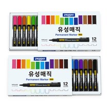 펜맥스 유성매직 12색 세트, 혼합색상, 2세트
