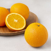 미국산 고당도 오렌지 점보사이즈, 900g, 1개