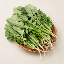 국내산 열무, 1.2kg, 1단
