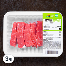 동원홈푸드 유기농 인증 우둔 장조림용 (냉장), 200g, 3개