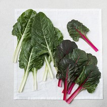 근대 & 적근대, 1개, 300g