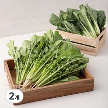 곰곰 국내산 얼갈이 + 열무, 4kg, 2개