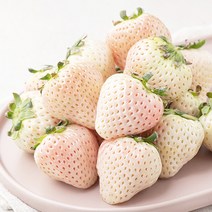 ONLYFARM 담양 화이트 딸기, 500g, 1개