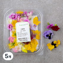 팜에이트 식용화 혼합, 30개입, 5개