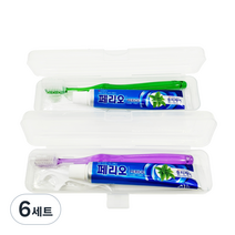 미소덴탈 여행용 칫솔 + 치약 + 일회용 치실 + 케이스 세트 랜덤발송, 6세트