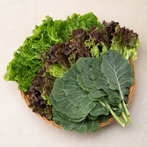친환경 인증 국내산 야채모듬쌈, 300g, 1봉
