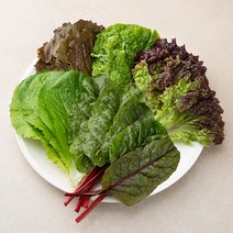 [농사임당] 친환경 무농약 샐러드 모듬 쌈채소 500g/1kg, 500g
