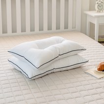 더자리 나노케어 안티브릭 다운필 경추 베개솜 2p, 화이트, 2개