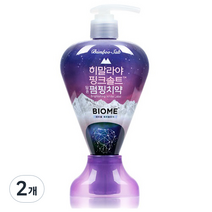 히말라야 핑크솔트 담은 펌핑치약 브라이트닝 화이트라벨 바이옴, 285g, 2개