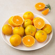곰곰 당도선별 제주감귤, 1kg, 1개