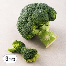 친환경 브로콜리, 1개입, 3개