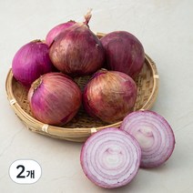 국내산 자색양파, 3kg, 2개