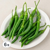 곰곰 국내산 청양고추, 300g, 6개