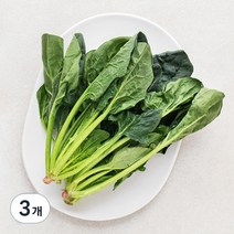국내산 시금치, 100g, 3개