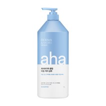 더마앤모어 아하 쿨링 비듬케어 샴푸, 1L, 1개