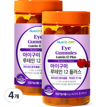 뉴트리디데이 아이구미 루테인 12 플러스 젤리, 240g, 4개