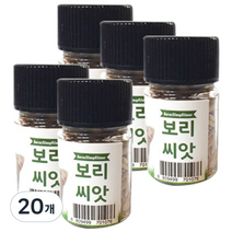 힐링타임 캣그라스 씨앗, 보리, 20개