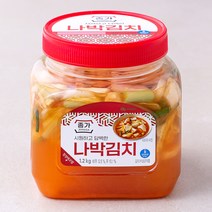 인기 많은 여름나박김치 추천순위 TOP100