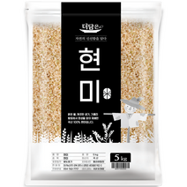 더담은 2022년산 햇곡 국산 현미, 5kg, 1개