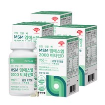 동화약품 MSM 엠에스엠 2000 비타민D 84g, 4개, 120정