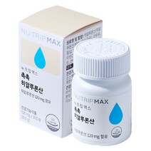 코스맥스바이오 뉴트립맥스 촉촉 히알루론산 16.5 g, 1개, 16.5g
