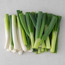국내산 절단 손질대파, 1kg, 1봉
