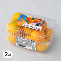 곰곰 GAP 고당도 제주감귤, 800g, 2개