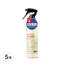 후르디아 왓츠롱 헬프 AC 클리어 바디 미스트, 5개, 150ml