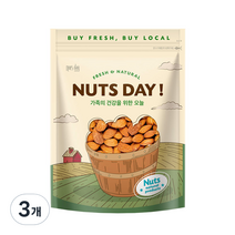 넛츠데이 구운 아몬드, 500g, 3개