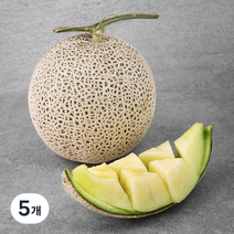 곰곰 x 농협 곰곰 부여 멜론, 1.25kg, 5개