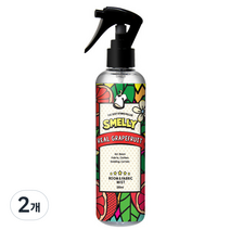 스멜리 섬유 탈취제 리얼 그레이프프룻, 250ml, 2개