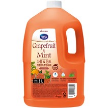 자몽 앤 민트 주방세제, 3L, 1개