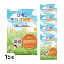 금황제지 신비한 한지 매직밴드 패치 90p, 15개