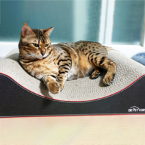 오케이펫코리아 다슬이 고양이 바디필로우 스크래쳐 650 x 350 x 140 mm, 혼합색상, 1개