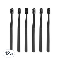 생활도감 칫솔 블랙, 1개입, 12개