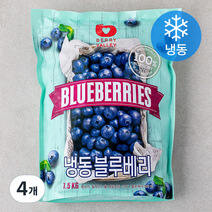 베리벨리 칠레산 냉동 블루베리, 1.5kg, 4개